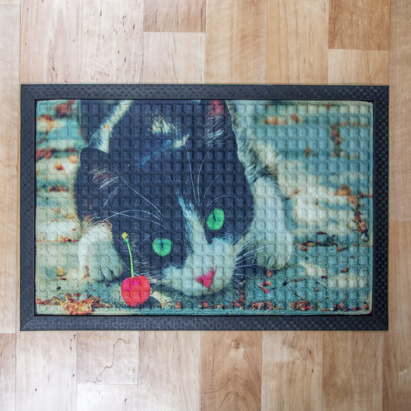 Festett gumis textil lábtörlő 40x60 cm - Macska mintával